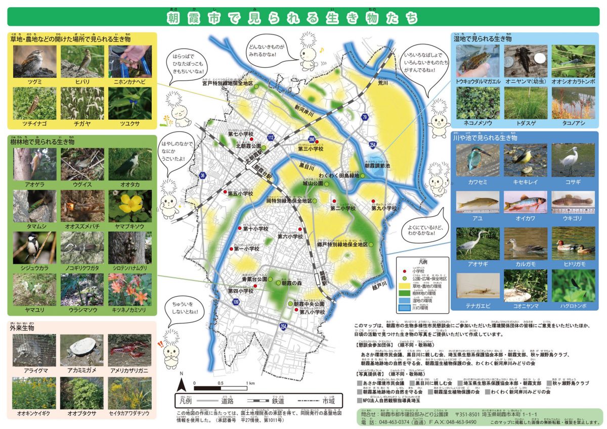 黒目川WS2024_朝霞生き物マップ202402