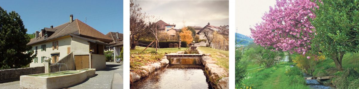 高校生WS2025_Croy村の水_公式サイトより